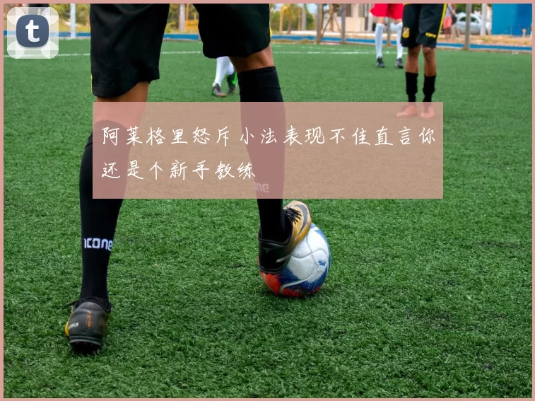 阿莱格里怒斥小法表现不佳直言你还是个新手教练