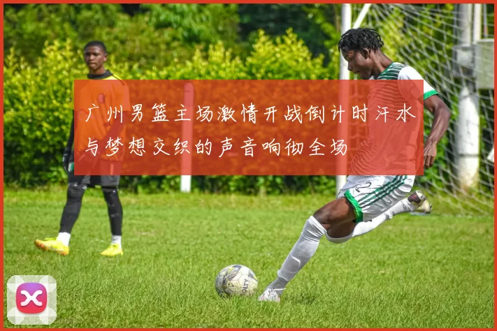 广州男篮主场激情开战倒计时汗水与梦想交织的声音响彻全场